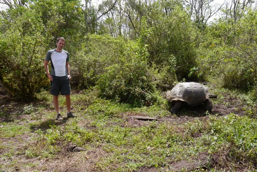 Galapagos, Santa Cruz & Isabella, December 2011