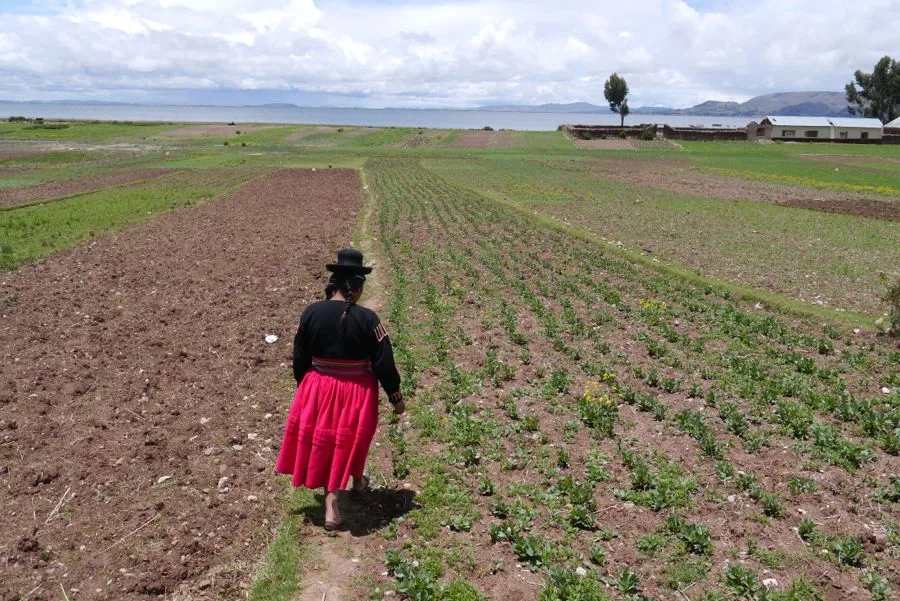 Lake Titicaca, December 2011