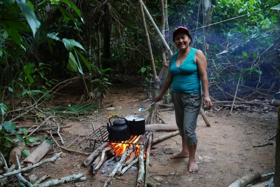 Amazon Jungle, January 2012