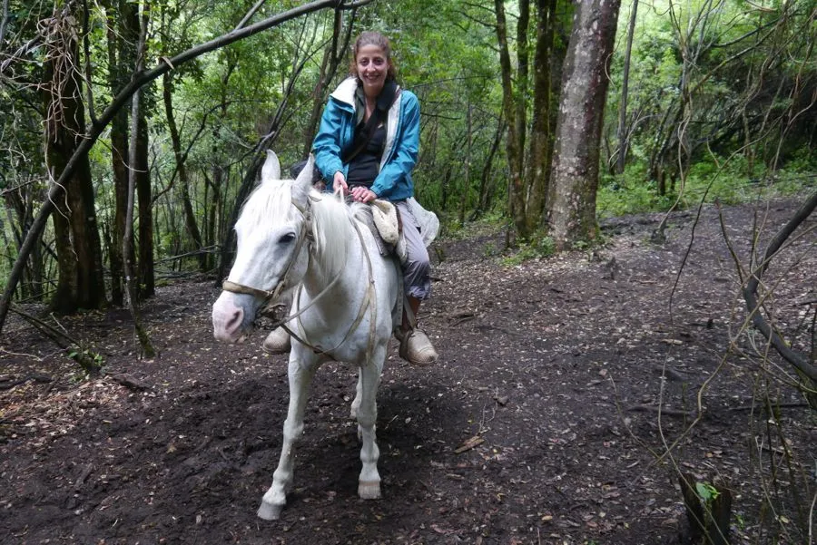 Pucon Horseriding, February 2012
