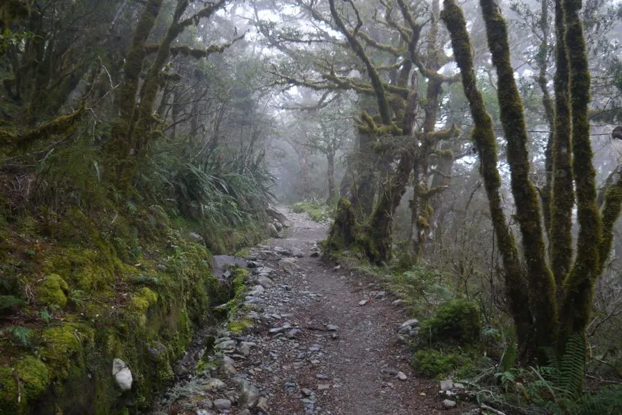 Routeburn Track, February 2012