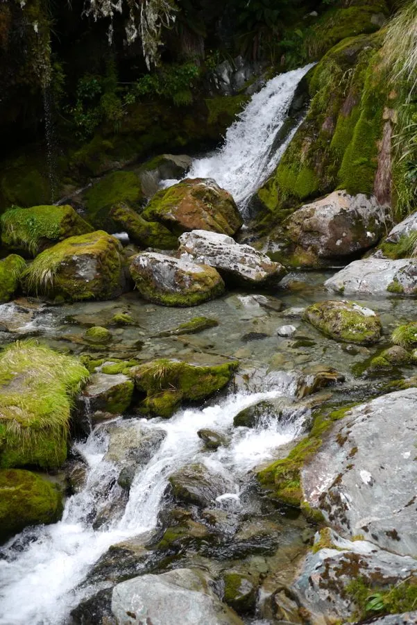 Routeburn Track, February 2012
