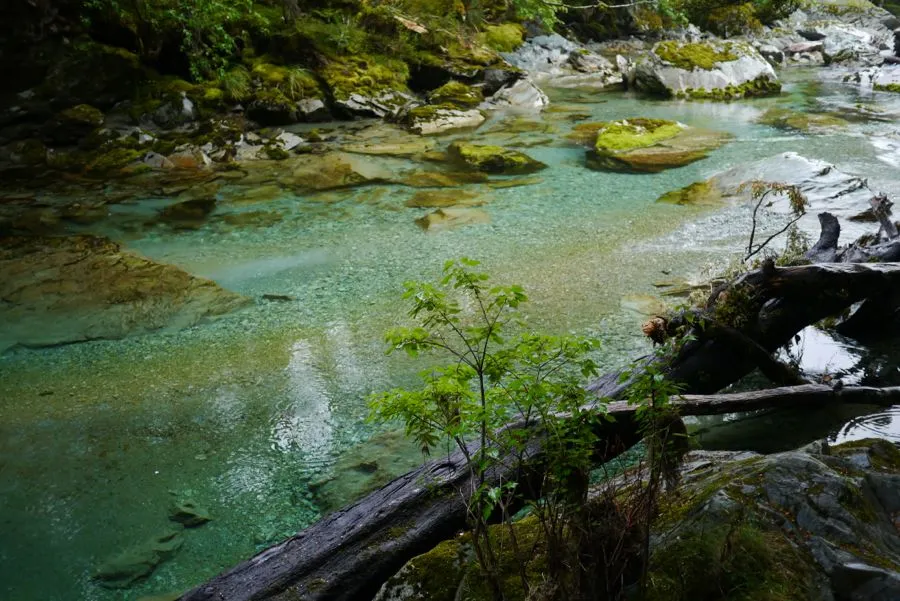 Routeburn Track, February 2012