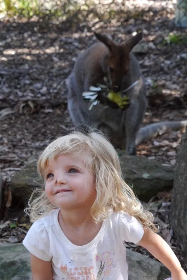 Sydney, March 2012