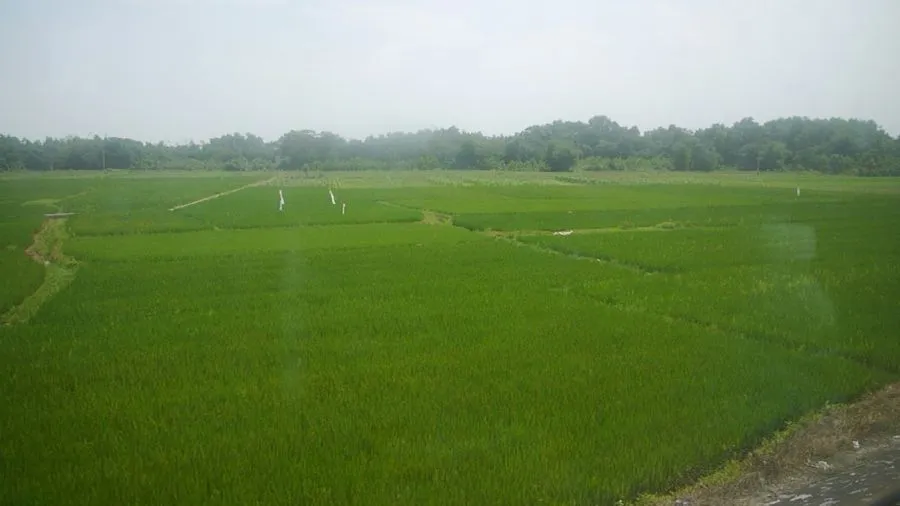 Hue, April 2012